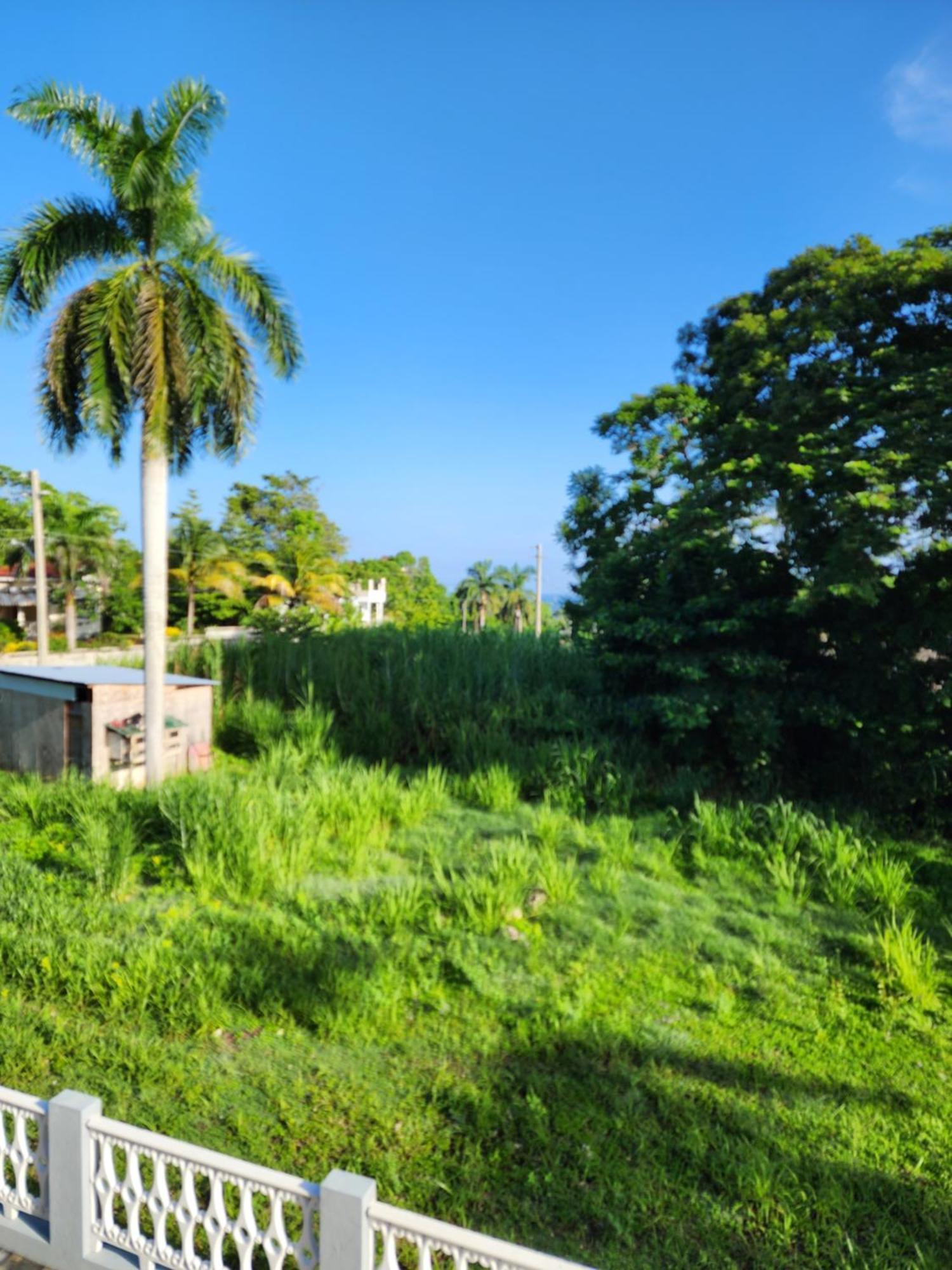 Paradise Nestled Between Montego Bay And Negril Hopewell Экстерьер фото
